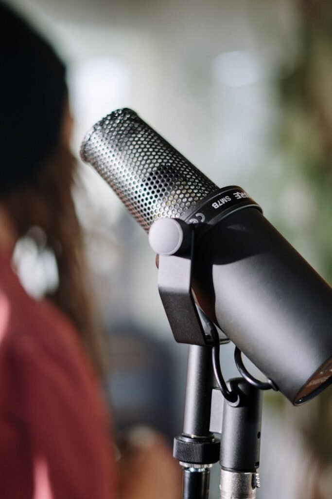 Black Microphone on Black Microphone Stand